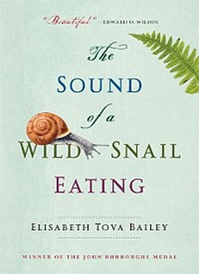 Sound of a Wild Snail Eating