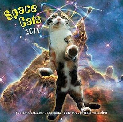 Space Cats 2018