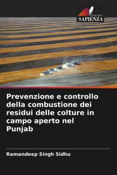 Prevenzione e controllo della combustione dei residui delle colture in campo aperto nel Punjab