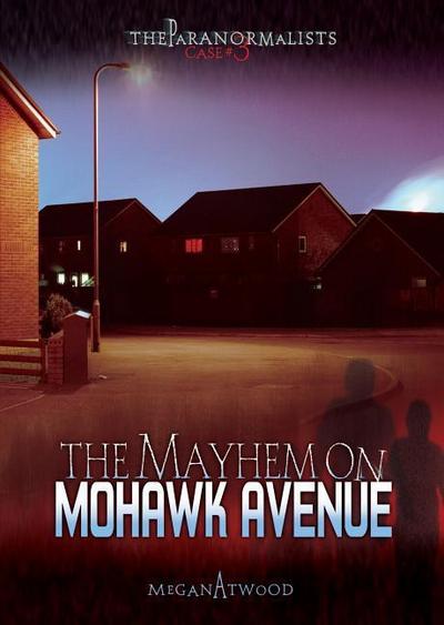 Case #03: The Mayhem on Mohawk Avenue