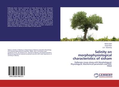 Salinity on morphophysiological characteristics of sisham