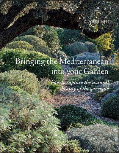 Bringing the Mediterranean Into Your Garden
