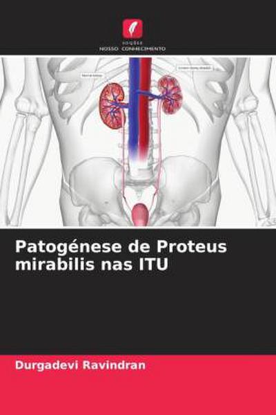 Patogénese de Proteus mirabilis nas ITU