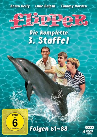 Flipper - Die komplette 3. Staffel (4 DVDs)