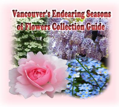 Vancouver’s Endearing Seasons of Flowers Collection Guide