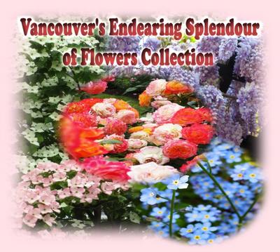 Vancouver’s Endearing Splendour of Flowers Collection