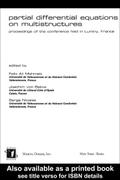 Partial Differential Equations On Multistructures