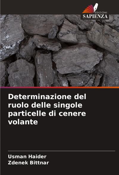 Determinazione del ruolo delle singole particelle di cenere volante