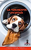 La Tormenta Encantada