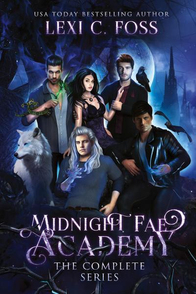 Midnight Fae Academy