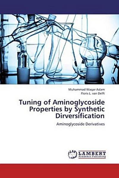 Tuning of Aminoglycoside Properties by Synthetic Dirversification