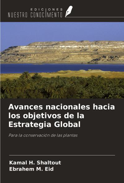 Avances nacionales hacia los objetivos de la Estrategia Global