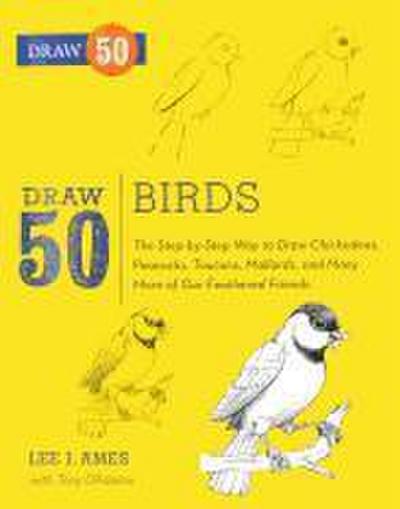 Draw 50 Birds