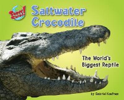 Saltwater Crocodile