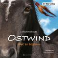 Ostwind 7 - Wie es begann (Die Ostwind-Reihe - Die Bücher und Hörbücher zur Filmreihe, Band 7)