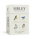 Sibley Birds of Land, Sea, and Sky