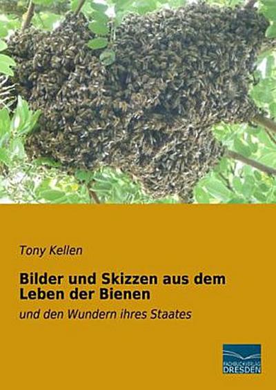 Bilder und Skizzen aus dem Leben der Bienen