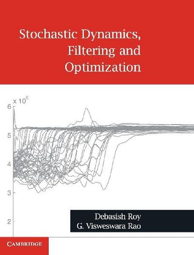 Stochastic Dynamics, Filtering and Optimization