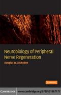 Neurobiology of Peripheral Nerve Regeneration