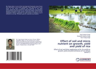 Effect of soil and micro nutrient on growth, yield and yield of rice