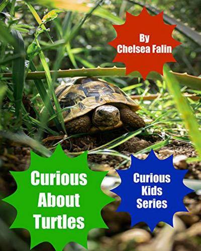 Curious About Turtles (Curious Kids Series, #3)