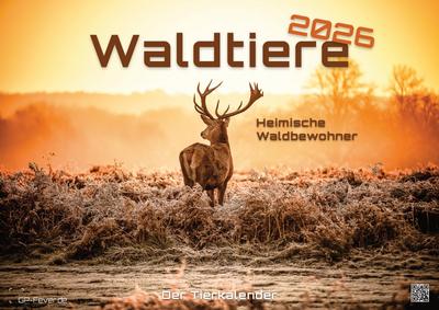 Waldtiere - Heimische Waldbewohner - Der Tierkalender - 2026 - Kalender DIN A3