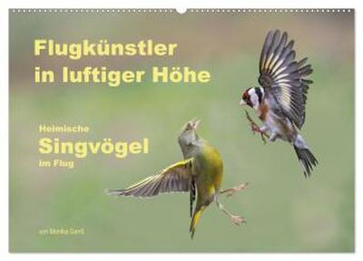 Flugkünstler in luftiger Höhe - Heimische Singvögel im Flug (Wandkalender 2027 DIN A2 quer), CALVENDO Monatskalender