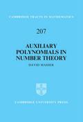Auxiliary Polynomials in Number Theory