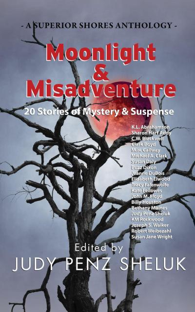 Moonlight & Misadventure: 20 Stories of Mystery & Suspense (A Superior Shores Anthology, #3)