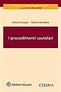 I procedimenti cautelari