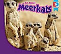 All About Meerkats