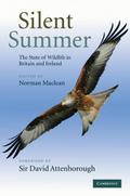 Silent Summer