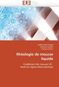 Rheologie de mousse liquide