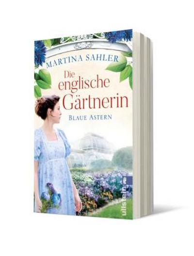 Die englische Gärtnerin - Blaue Astern