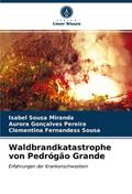 Waldbrandkatastrophe von Pedrógao Grande