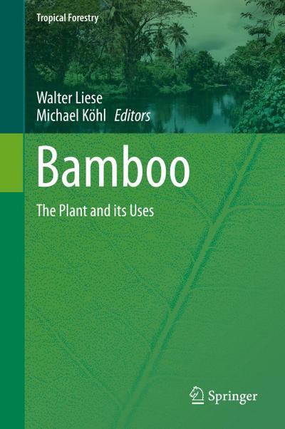 Bamboo