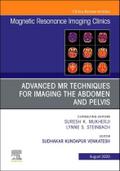 Advanced MR Techniques for Imaging the Abdomen and Pelvis, an Issue of Magnetic Resonance Imaging Clinics of North America
