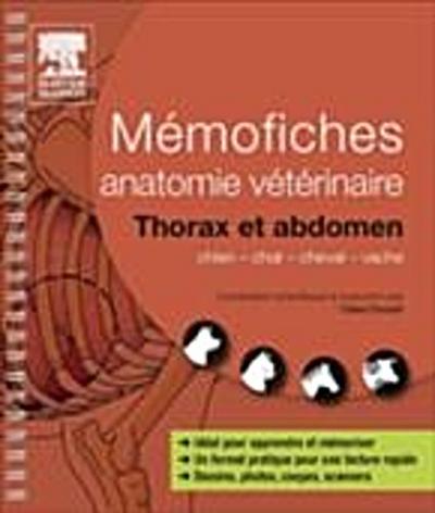 Memofiches anatomie veterinaire - Thorax et abdomen