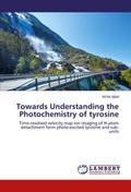 Towards Understanding the Photochemistry of tyrosi