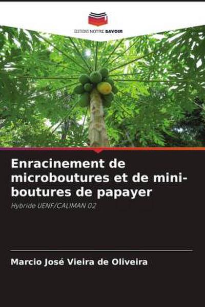 Enracinement de microboutures et de mini-boutures de papayer
