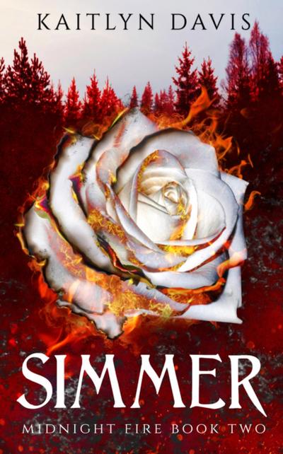 Simmer (Midnight Fire Series Book Two)
