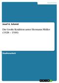 Die Große Koalition unter Hermann Müller (1928 - 1930)