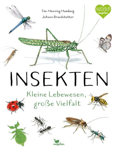 Insekten - Kleine Lebewesen, große Vielfalt