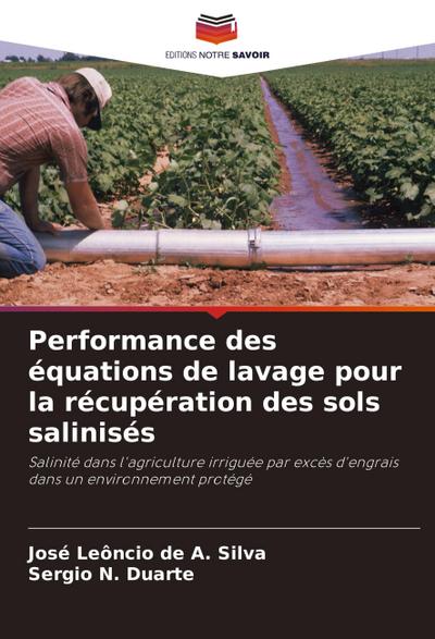Performance des équations de lavage pour la récupération des sols salinisés