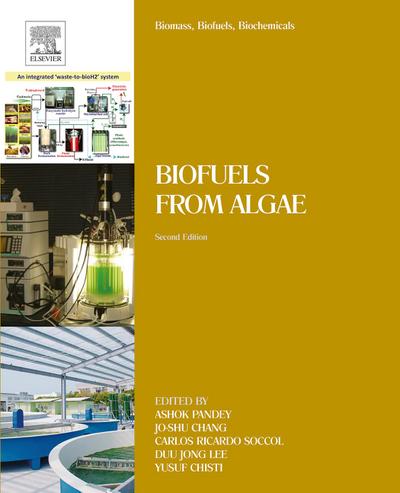 Biomass, Biofuels, Biochemicals