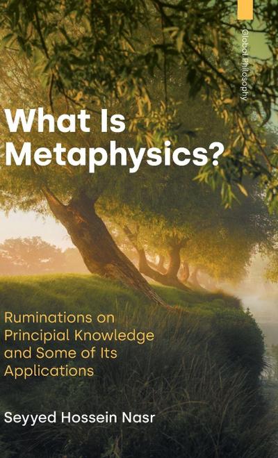 What is Metaphysics