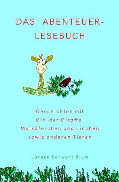 Das Abenteuer-Lesebuch