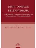 Diritto penale dell’antimafia