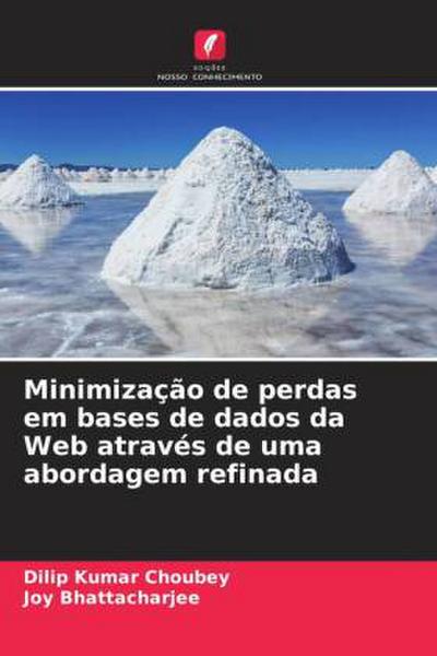 Minimização de perdas em bases de dados da Web através de uma abordagem refinada