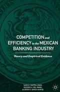 Competition and Efficiency in the Mexican Banking 